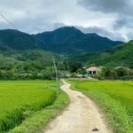 Bike tour in rural Da Nang cycling through rice fields to a peaceful village near mountain foot