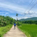 Hoi An bicycle tour rice fields — cyclist riding between banana trees and green rice paddies